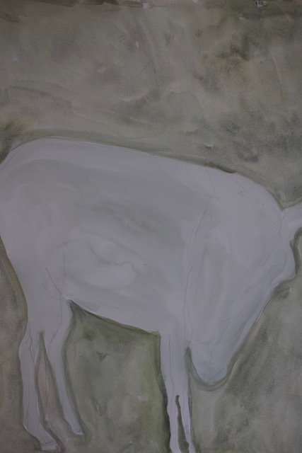 Miscellaneous or how other animals might see